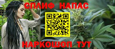 спайс Будённовск