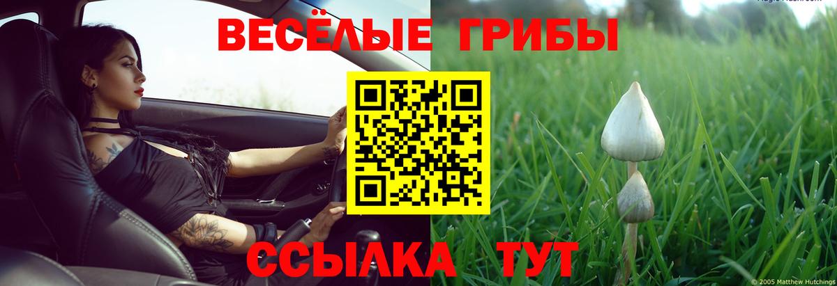 Великие Луки  Псилоцибиновые грибы Magic Shrooms  Вход с VPN 